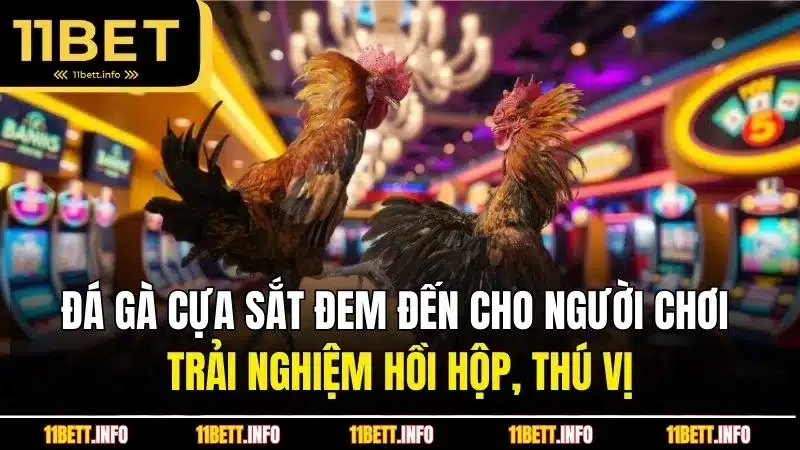 Đá gà cựa sắt đem đến cho người chơi trải nghiệm hồi hộp, thú vị
