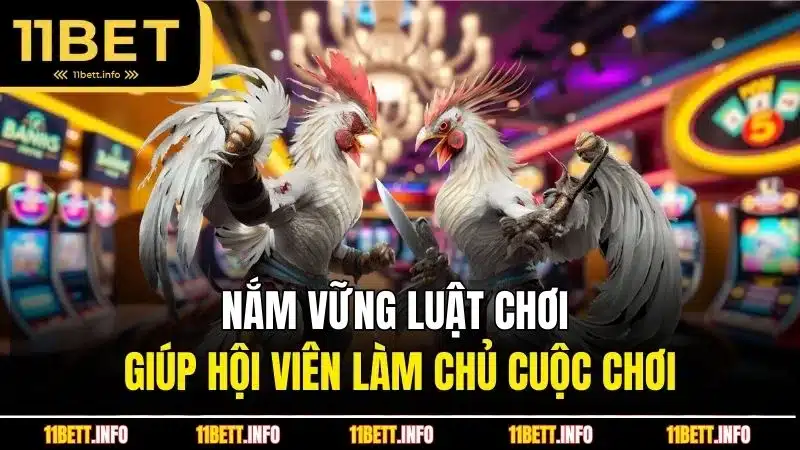 Nắm vững luật chơi giúp hội viên làm chủ cuộc chơi